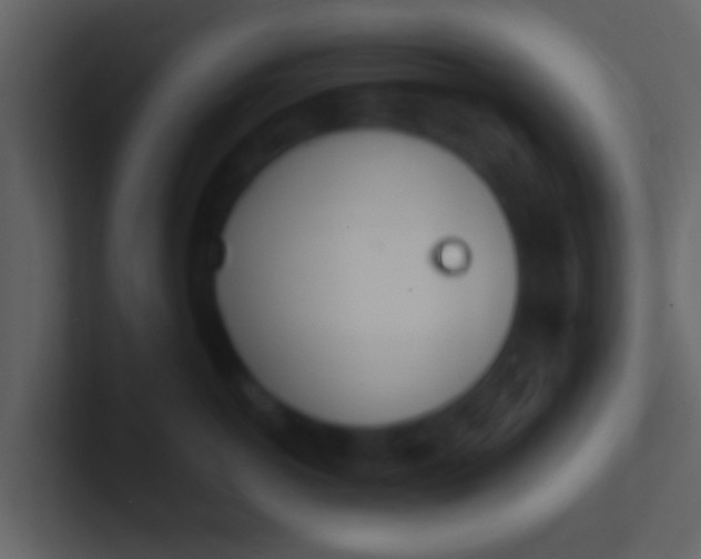 X0000100910766200807081124