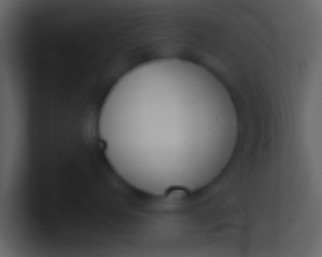 X0000100910768200807081124