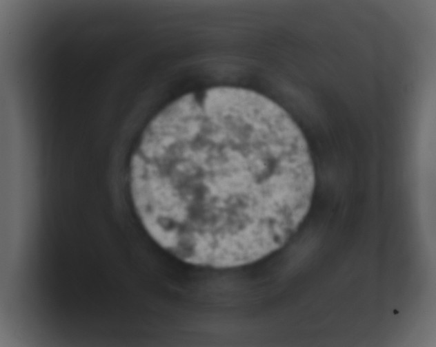 X0000100910769200807081123