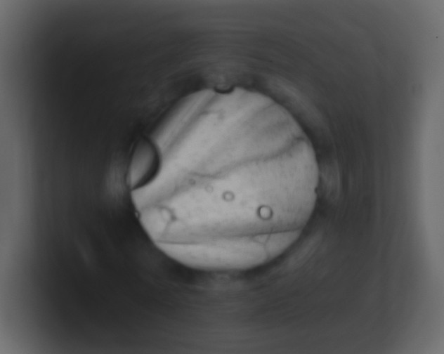 X0000100910770200807081123