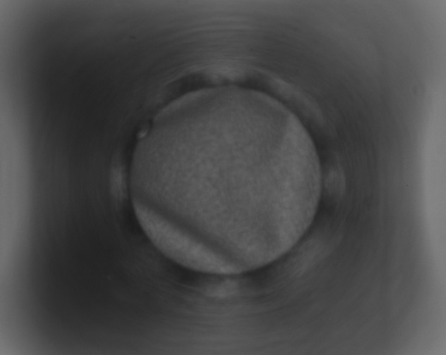 X0000100910772200807081123