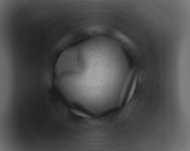 X0000100910774200807081123