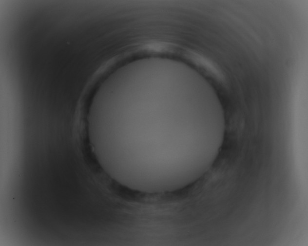 X0000100910776200807081123