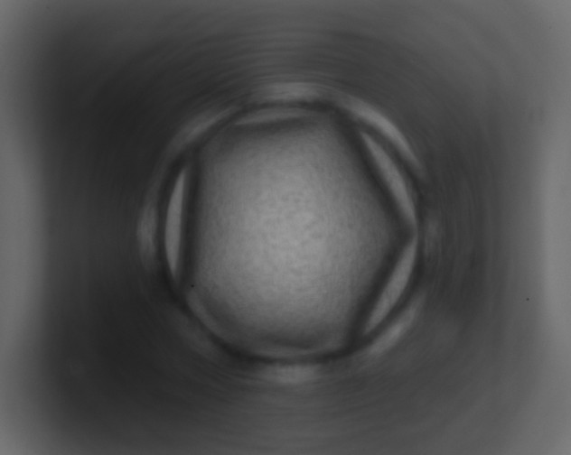 X0000100910778200807081123
