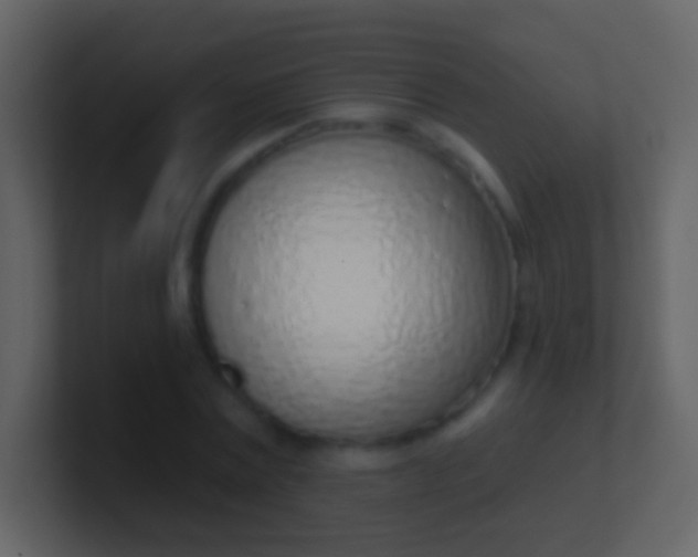 X0000100910779200807081123