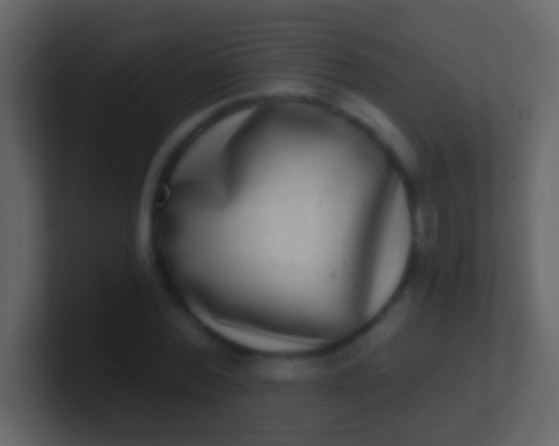 X0000100910780200807081123