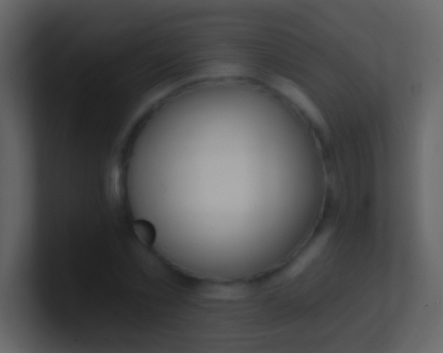 X0000100910781200807081123