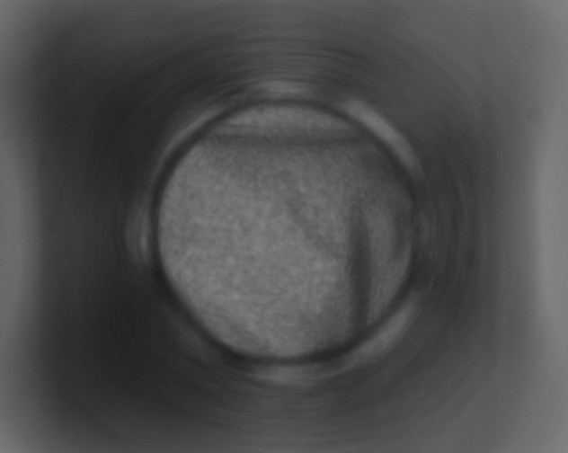 X0000100910782200807081123