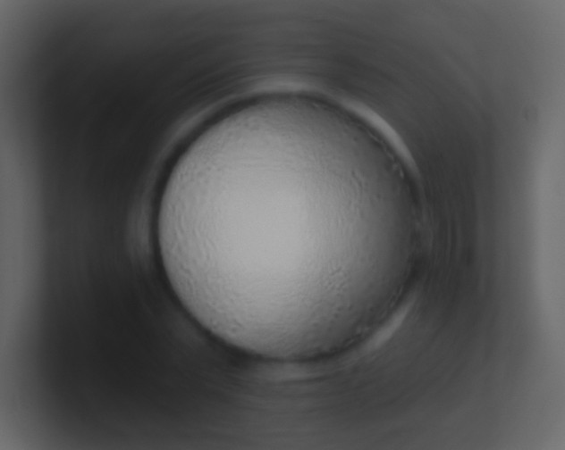 X0000100910783200807081123