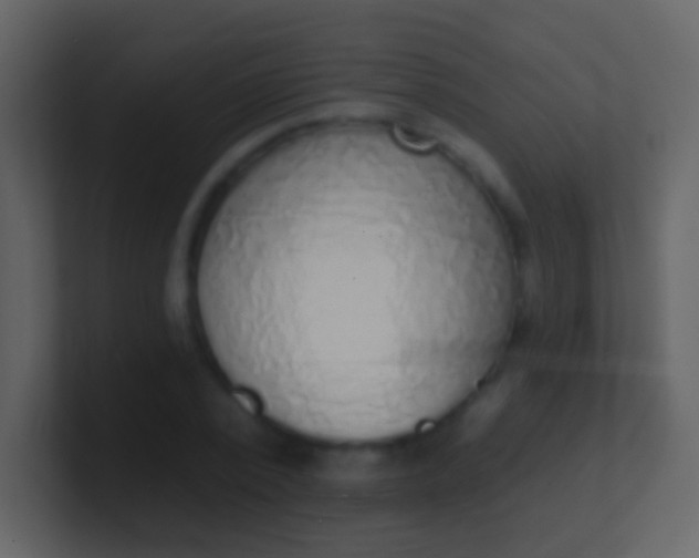 X0000100910784200807081123