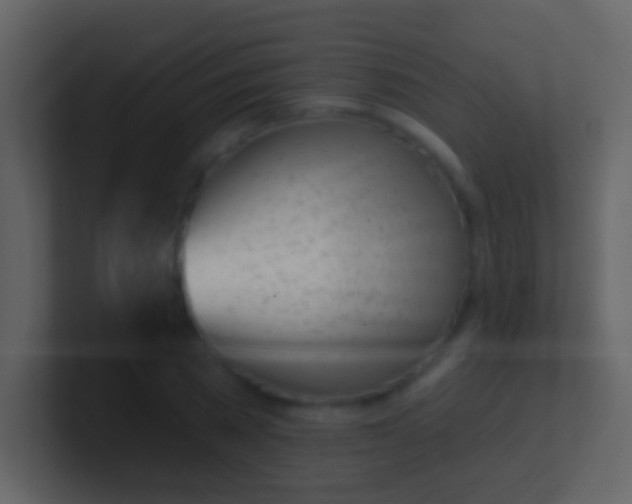 X0000100910785200807081123