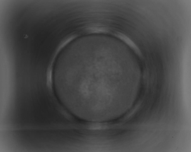 X0000100910790200807081123