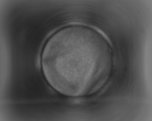 X0000100910791200807081123