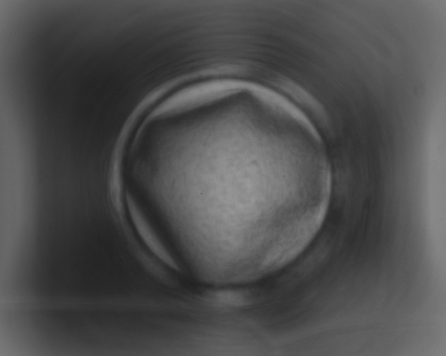 X0000100910792200807081123