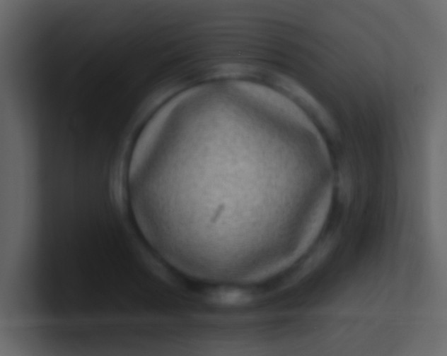 X0000100910794200807081123