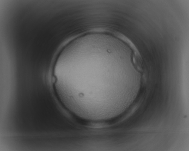 X0000100910795200807081123