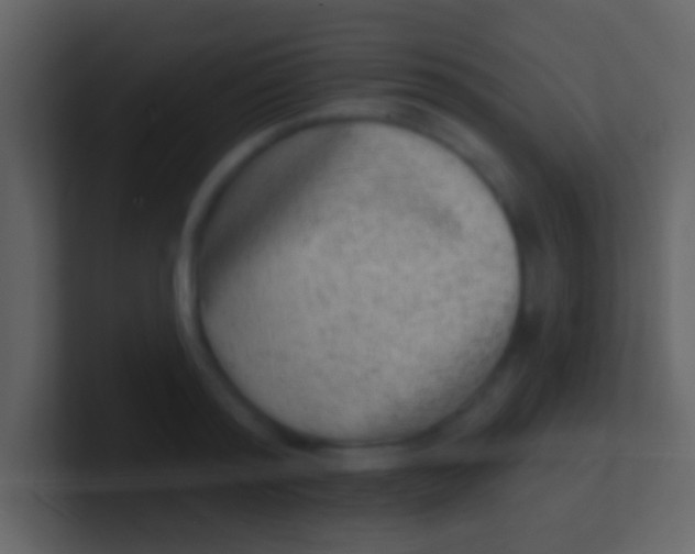 X0000100910796200807081123