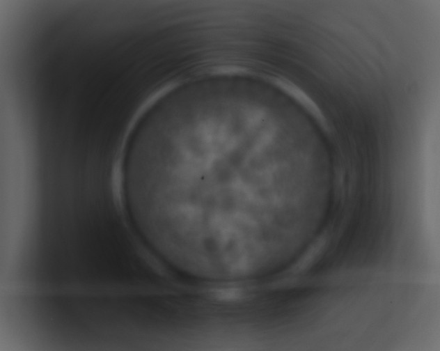 X0000100910798200807081123