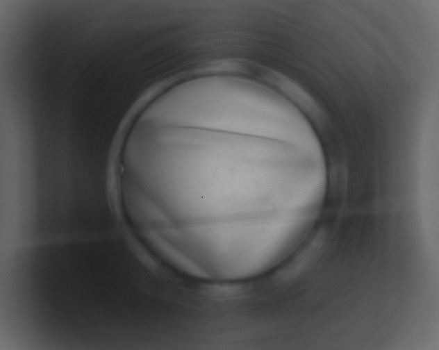 X0000100910800200807081123