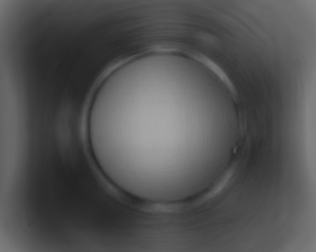 X0000100910803200807081123