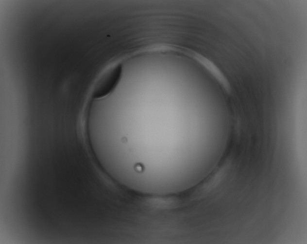X0000100910805200807081123