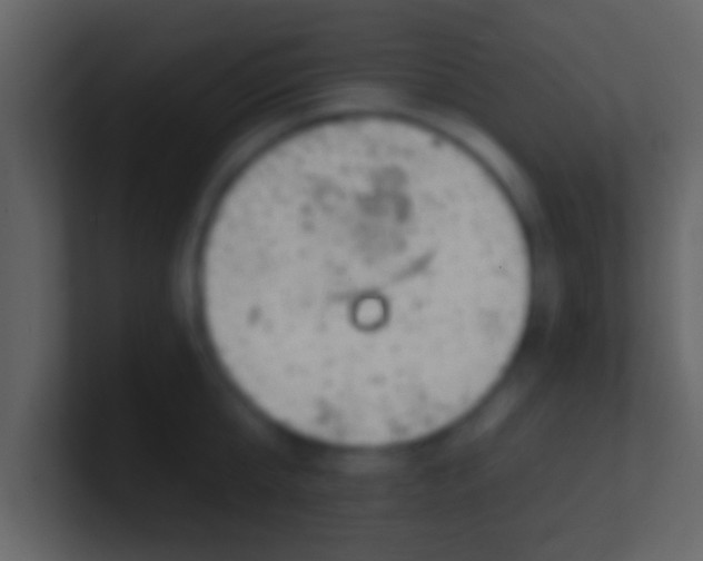 X0000100910807200807081123