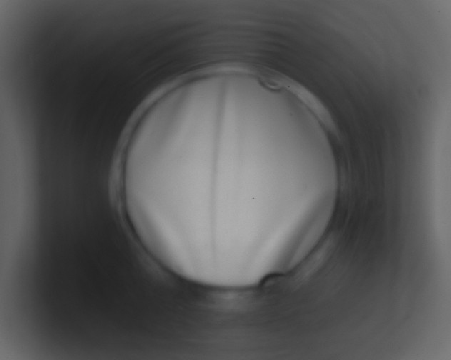 X0000100910808200807081123