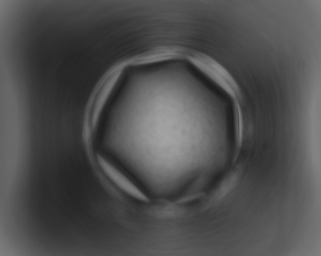 X0000100910811200807081123