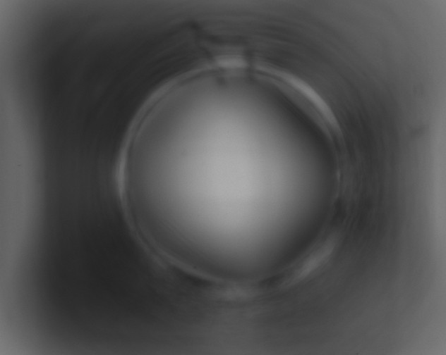 X0000100910815200807081123