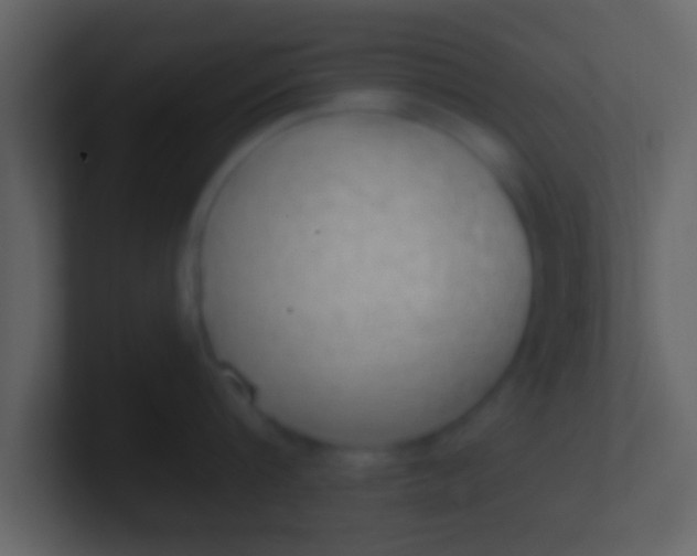 X0000100910816200807081123