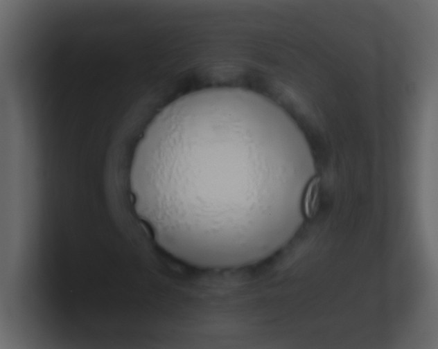 X0000100910817200807081122