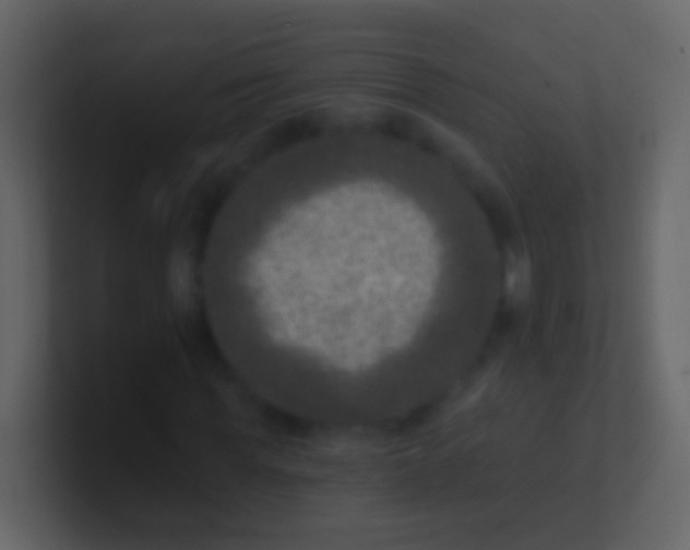 X0000100910819200807081122