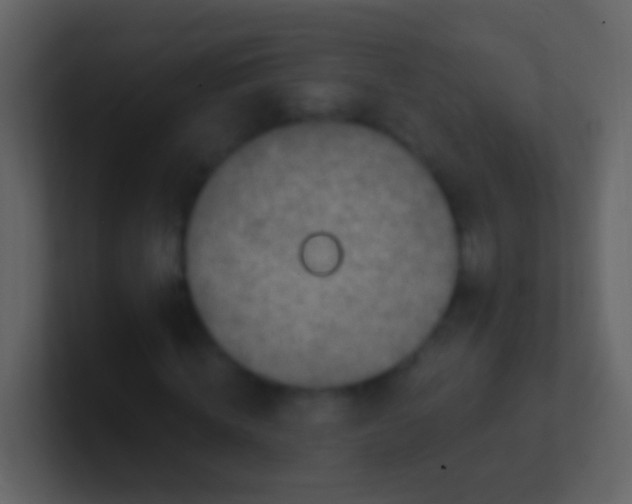 X0000100910820200807081122