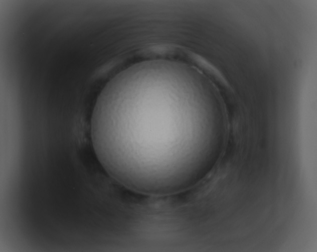 X0000100910822200807081122