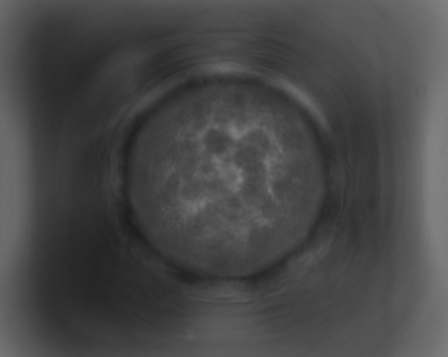 X0000100910823200807081122