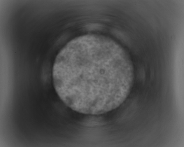 X0000100910824200807081122