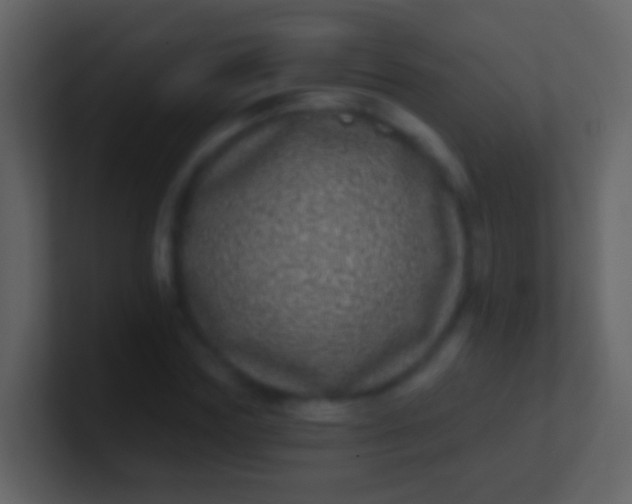 X0000100910827200807081122