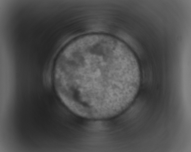 X0000100910828200807081122