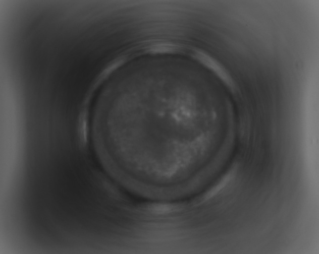 X0000100910829200807081122