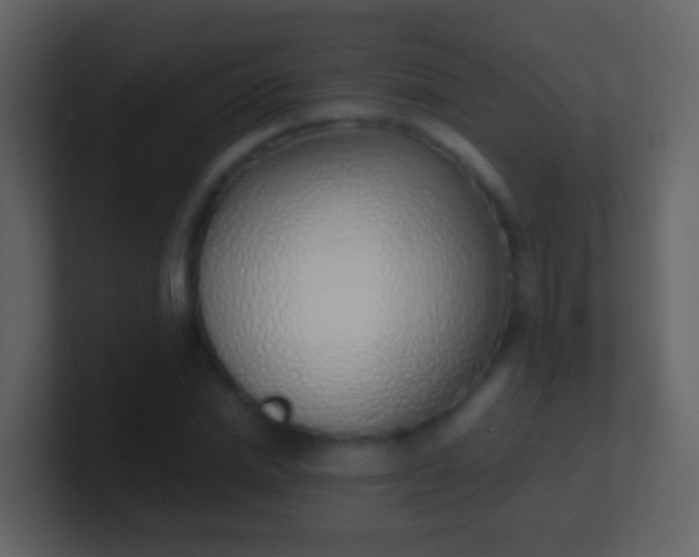 X0000100910830200807081122