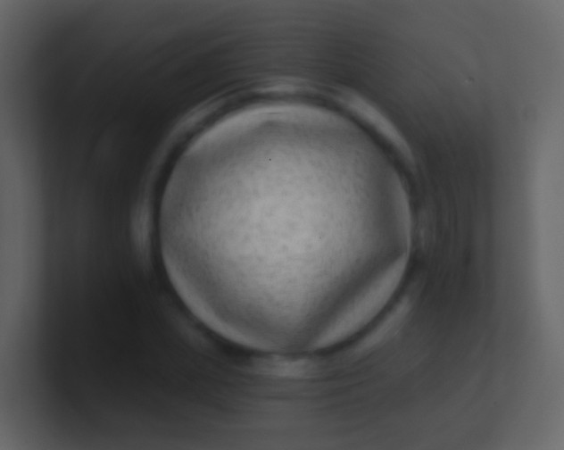 X0000100910831200807081122