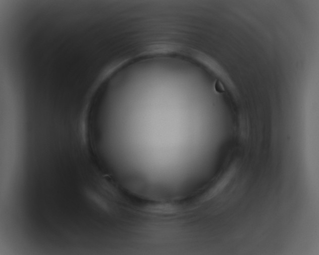 X0000100910834200807081122