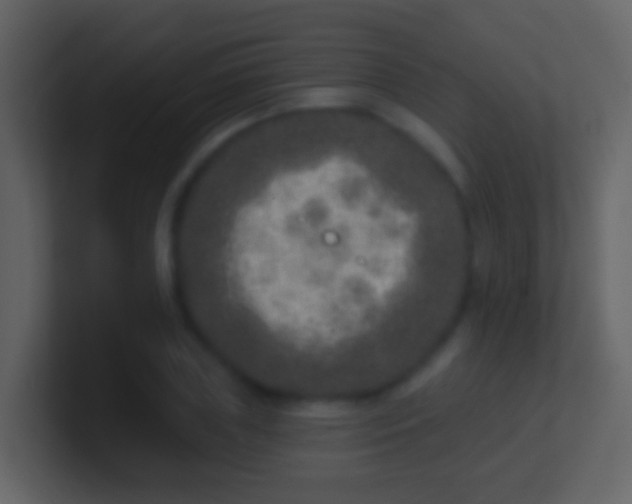 X0000100910835200807081122