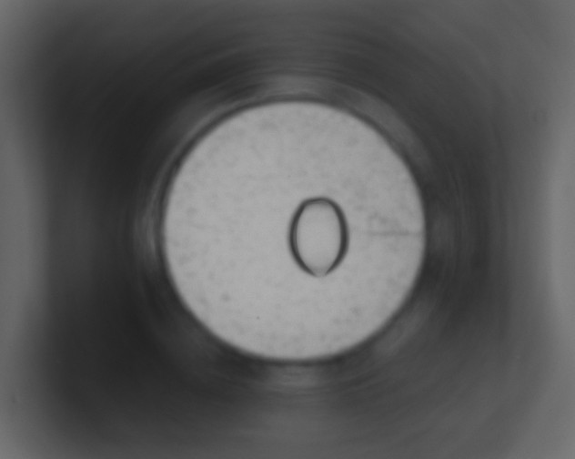 X0000100910836200807081122