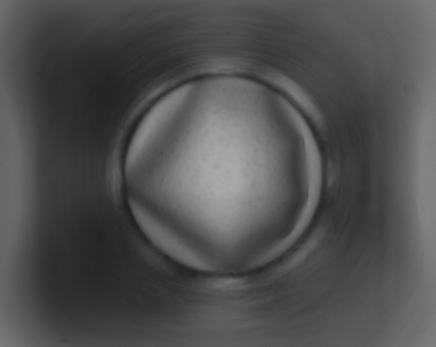 X0000100910837200807081122