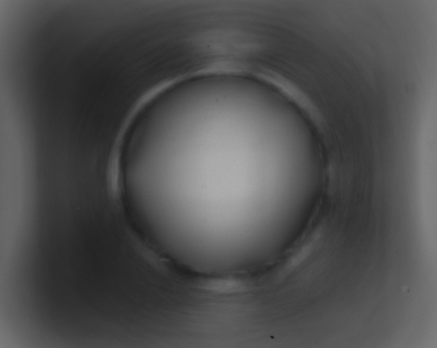 X0000100910838200807081122