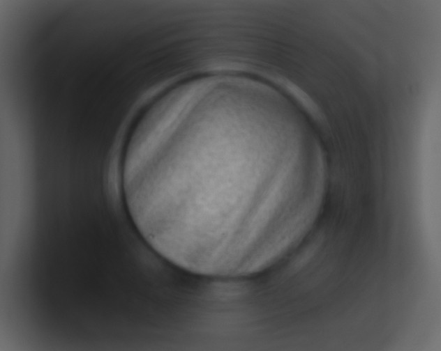 X0000100910840200807081122