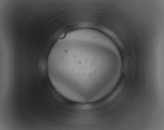 X0000100910841200807081122