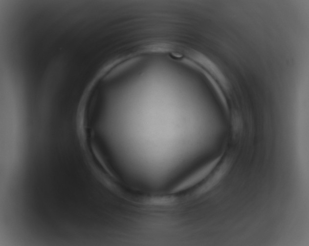 X0000100910843200807081122