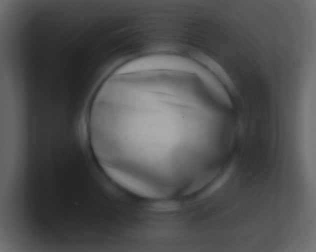 X0000100910844200807081122